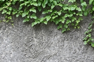 Wall gray patterned walls